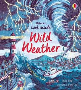 Look Inside Wild Weather 