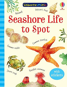 Seashore Life to Spot 