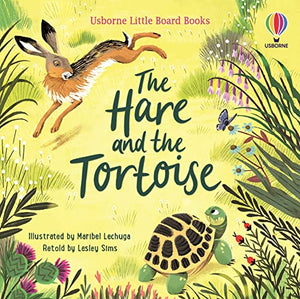 The Hare and the Tortoise 