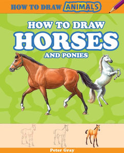 How to Draw Horses and Ponies 