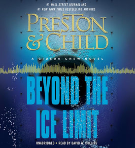 Beyond the Ice Limit 