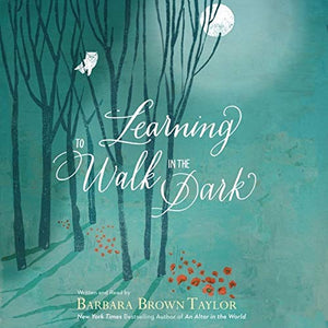 Learning to Walk in the Dark 