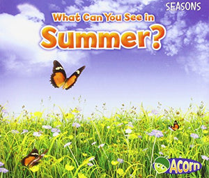 Seasons What Can You See in Summer? 