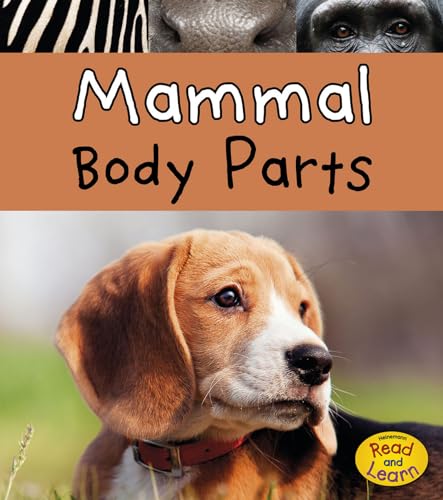 Animal Body Parts Mammal Body Parts