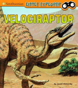 Velociraptor 