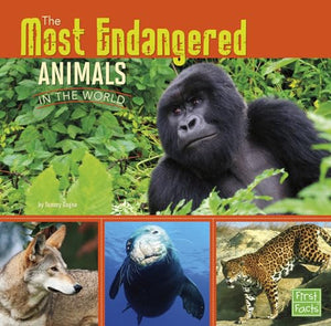 Most Endangered 