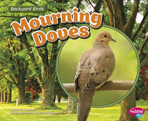 Mourning Doves 