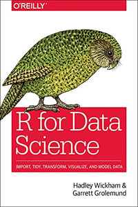 R for Data Science 