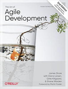 The Art of Agile Development 