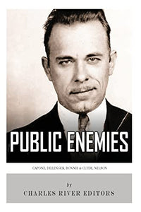 Public Enemies 