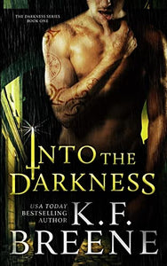 Into the Darkness (Darkness, 1) 