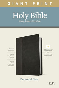 KJV Personal Size Giant Print Bible, Filament Edition, Black 