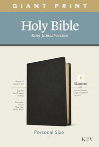 KJV Personal Size Giant Print Bible, Filament Edition, Black 