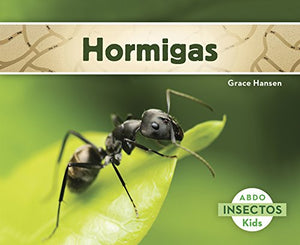 Hormigas 