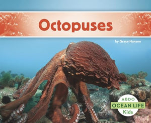 Octopuses 