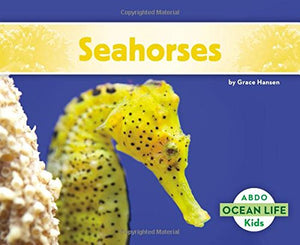 Seahorses 