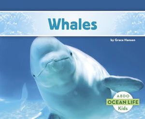 Whales 