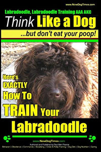 Labradoodle, Labradoodle Training AAA AKC 