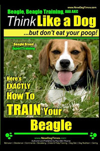 Beagle, Beagle Training AAA AKC 