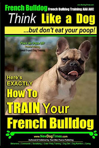 French Bulldog, French Bulldog Training AAA AKC 