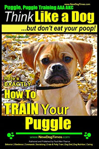 Puggle, Puggle Training AAA AKC 