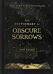 The Dictionary of Obscure Sorrows 