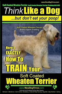 Soft Coated Wheaten Terrier, Soft Coated Wheaten Terrier Training AAA AKC Think Like a Dog But Don't Eat Your Poop! Soft Coated Wheaten Terrier Breed Expert Training 