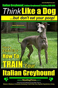 Italian Greyhound, Italian Greyhound Training AAA AKC 