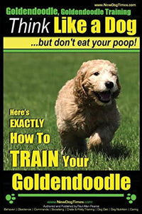 Goldendoodle, Goldendoodle Training Think Like a Dog But Don't Eat Your Poop! 