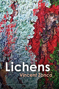 Lichens 