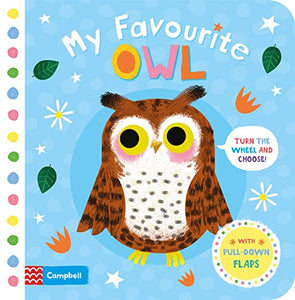 My Favourite Owl 