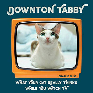 Downton Tabby 