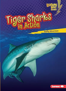 Tiger Sharks in Action 