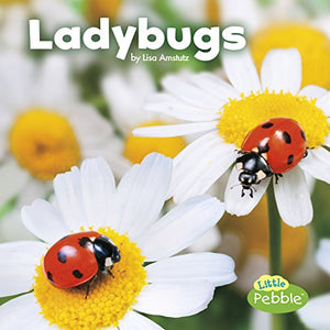 Ladybugs 