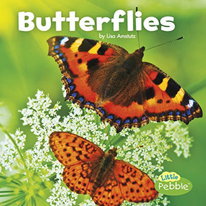 Butterflies (Little Critters) 