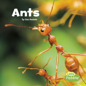 Ants (Little Critters) 