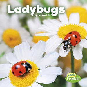 Ladybugs (Little Critters) 