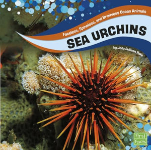 Faceless, Spineless, and Brainless Ocean Animals Sea Urchins 