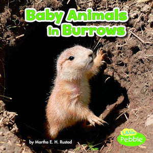 Baby Animals and Their Homes Baby Animals in Burrows 