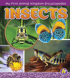 Insects 