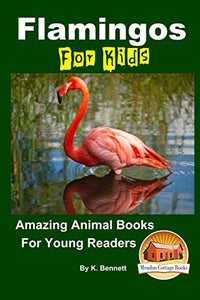 Flamingos For Kids Amazing Animal Books For Young Readers 