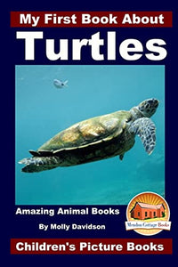 My First Book About Turtles - Amazing Animal Books - Children's Picture Books 