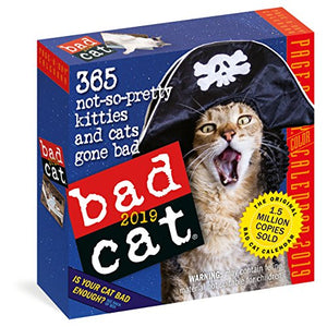 2019 Bad Cat Colour Page-A-Day Calendar 