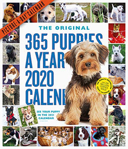 2020 365 Puppies-A-Year Picture-A-Day Calendar 