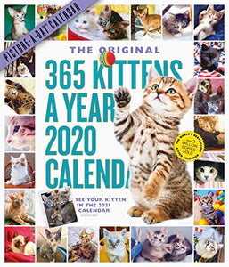 2020 365 Kitten a Year Picture a Day Calendar 