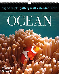 2020 Ocean Gallery Calendar 