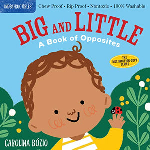 Indestructibles: Big and Little: A Book of Opposites 