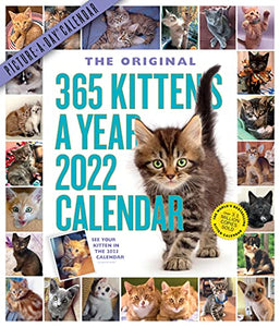 2022 365 Kittens-A-Year Calendar 