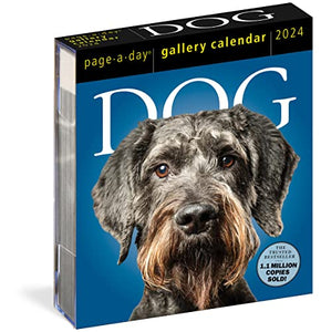 Dog Page-A-Day Gallery Calendar 2024 