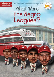 What Were the Negro Leagues? 